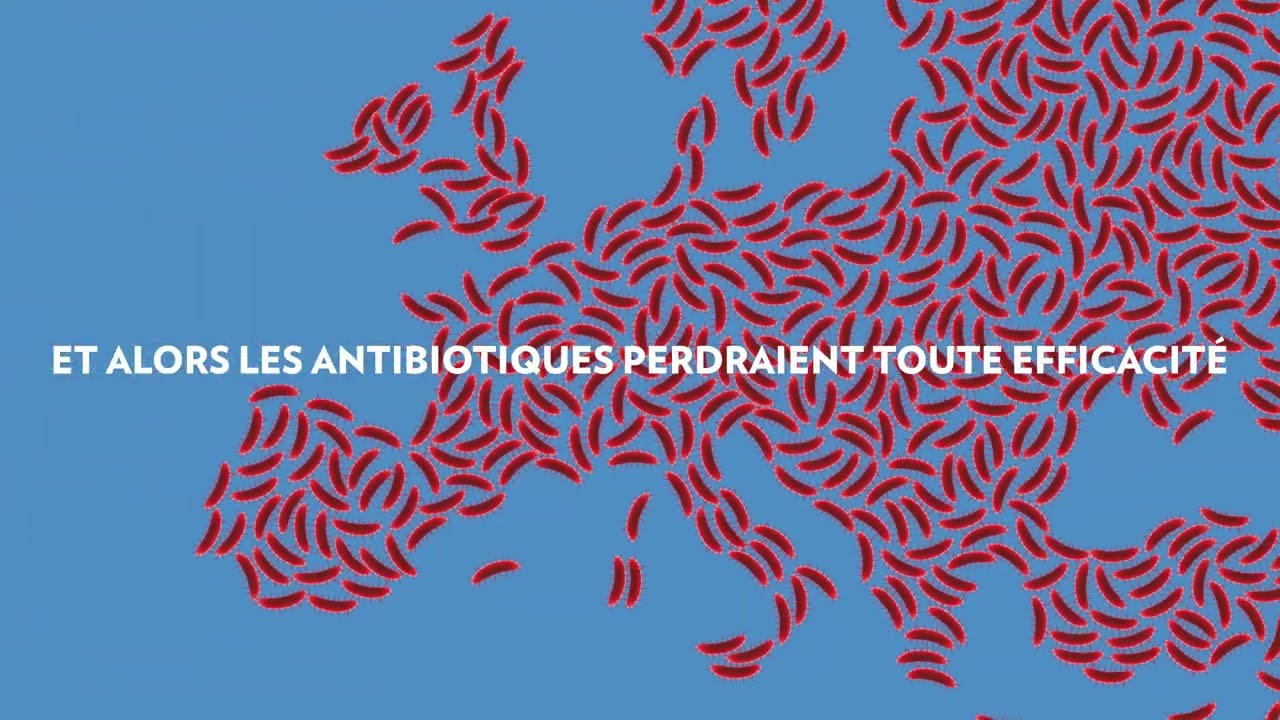 Lire la vidéo YouTube, voir légende ci-après