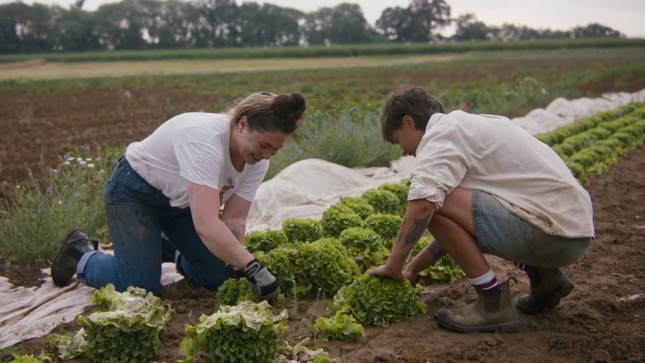 YouTube-Video abspielen, siehe Bildunterschrift unten
