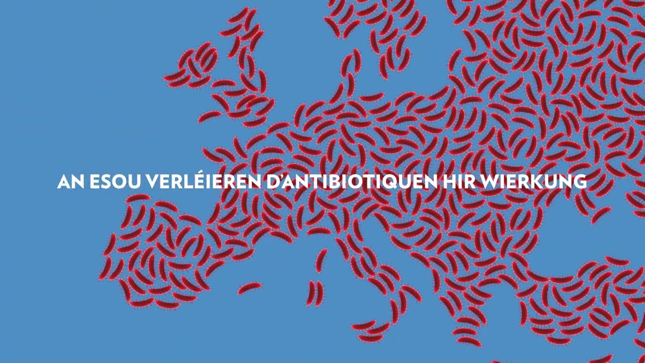 Lire la vidéo YouTube, voir légende ci-après