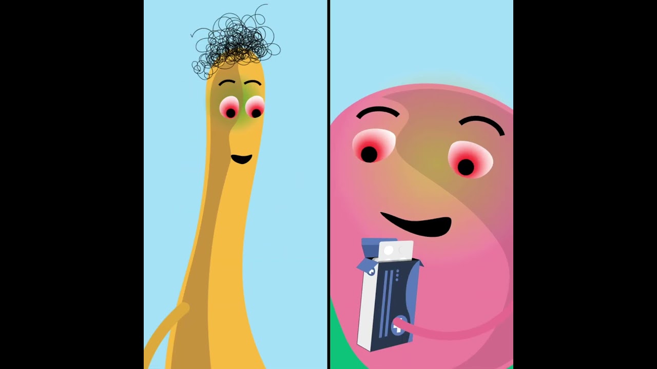 Lire la vidéo YouTube, voir légende ci-après